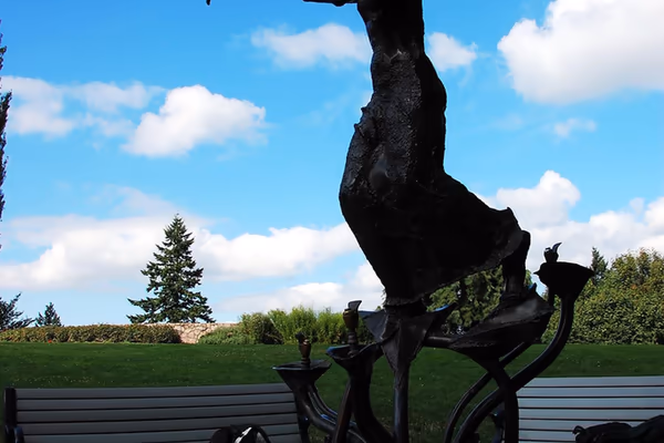 Council Crest Park Off Leash Area photo 1